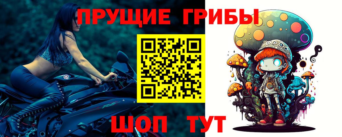 Магадан  Галлюциногенные грибы GOLDEN TEACHER  Псилоцибиновые грибы Psilocybine cubensis  Вход с VPN 