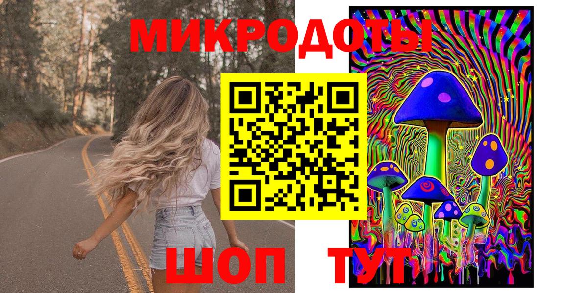 Псилоцибиновые грибы Cubensis Магадан